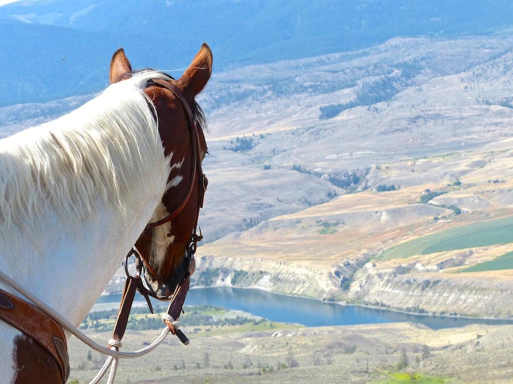 הוילה Ashcroft Sundance Guest Ranch מראה חיצוני תמונה