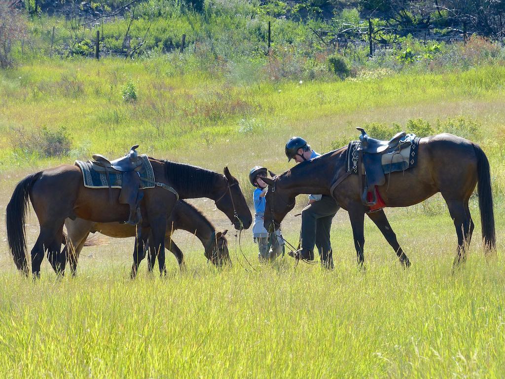 הוילה Ashcroft Sundance Guest Ranch מראה חיצוני תמונה