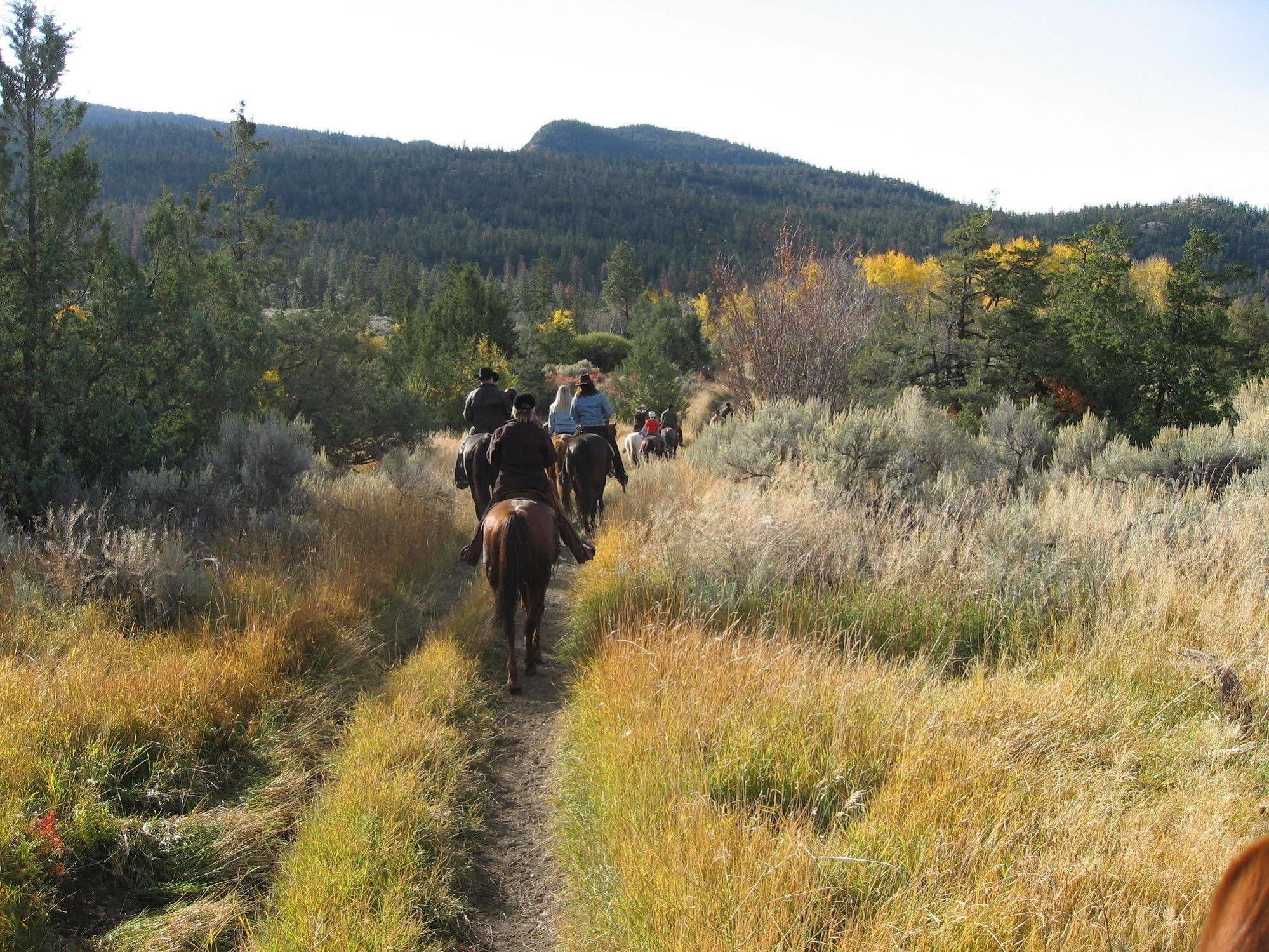 הוילה Ashcroft Sundance Guest Ranch מראה חיצוני תמונה