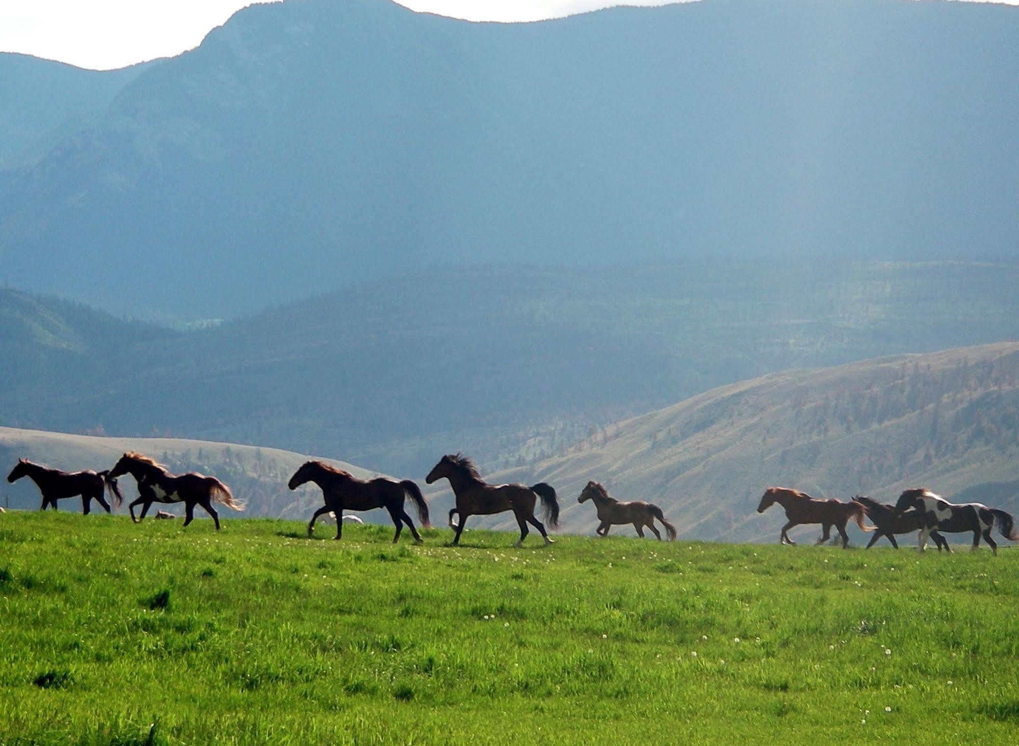 הוילה Ashcroft Sundance Guest Ranch מראה חיצוני תמונה