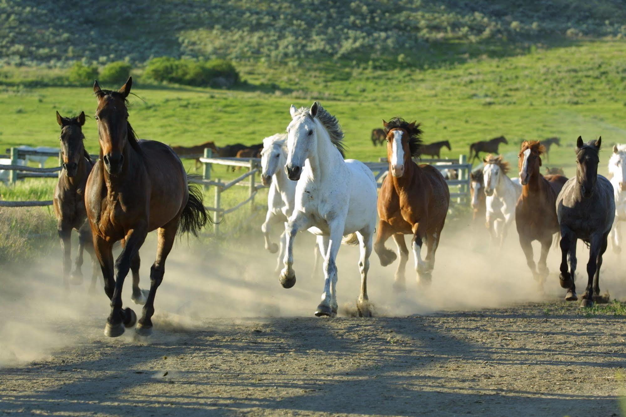 הוילה Ashcroft Sundance Guest Ranch מראה חיצוני תמונה